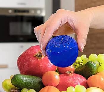 Hands placing a blue apple freshness extender among a pile of fruits