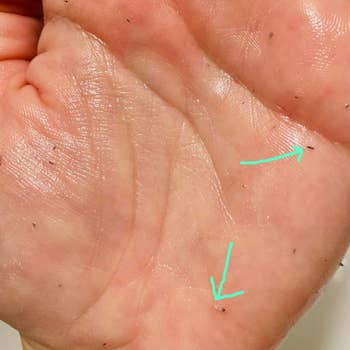 Close-up of a manus with tiny particles, perchance lint oregon bits of fabric, sticking to thenar lines, indicating texture oregon grip of skin