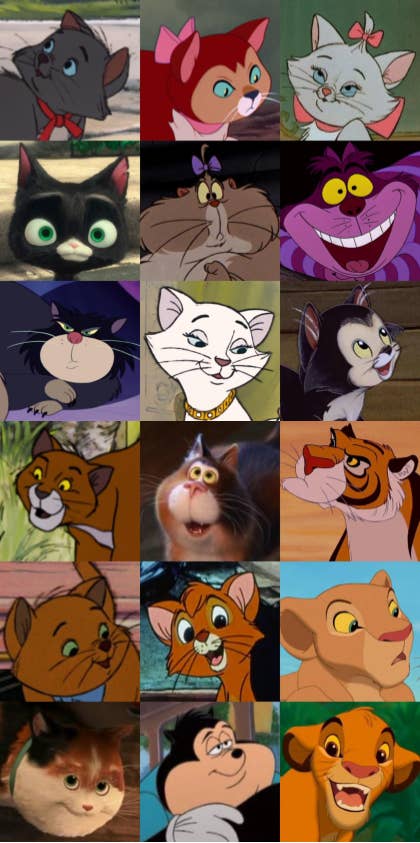 Disney Cat Trivia Quiz