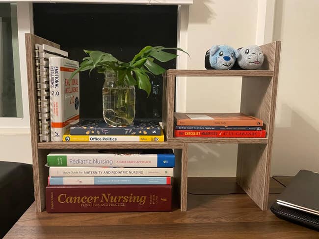 A bookshelf with medical texts, a plant, and two plush toys 