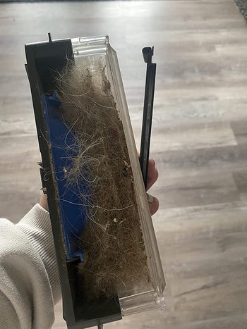 a reviewer shoes hair cleaned in the vacuum