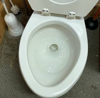 the same reviewer's toilet now completely clean