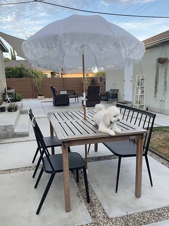 reviewer's outdoor table with the white umbrella in the center