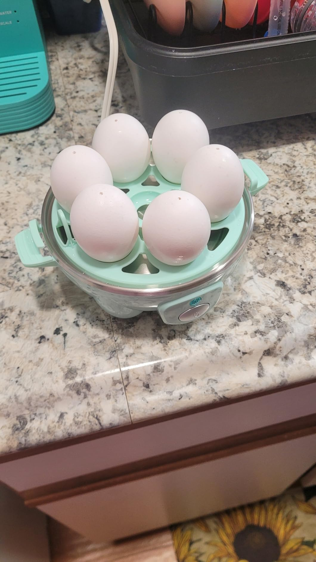 Egg cooker containing six eggs connected  a countertop