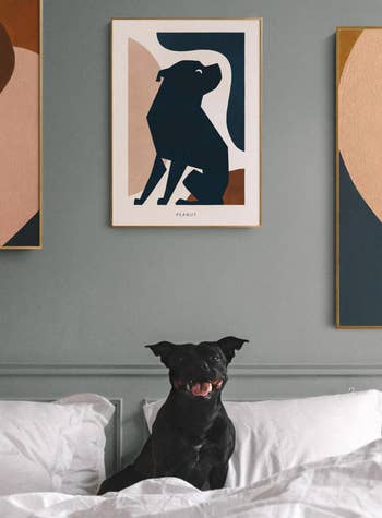 A dog in bed with an abstract photo of themselves above on a wall