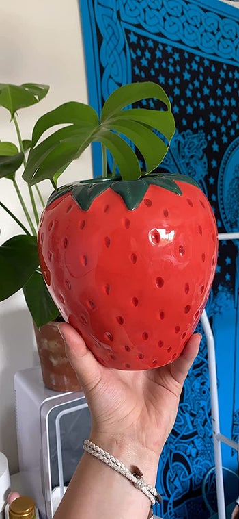 Reviewer holding their strawberry shaped ceramic vase with a plant inside it