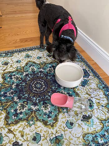 reviewer's dog drinking water on a patterned reusable washable mat