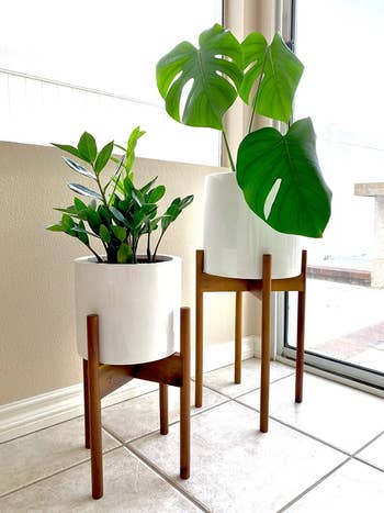 reviewer photo of the taller and shorter planter and stands
