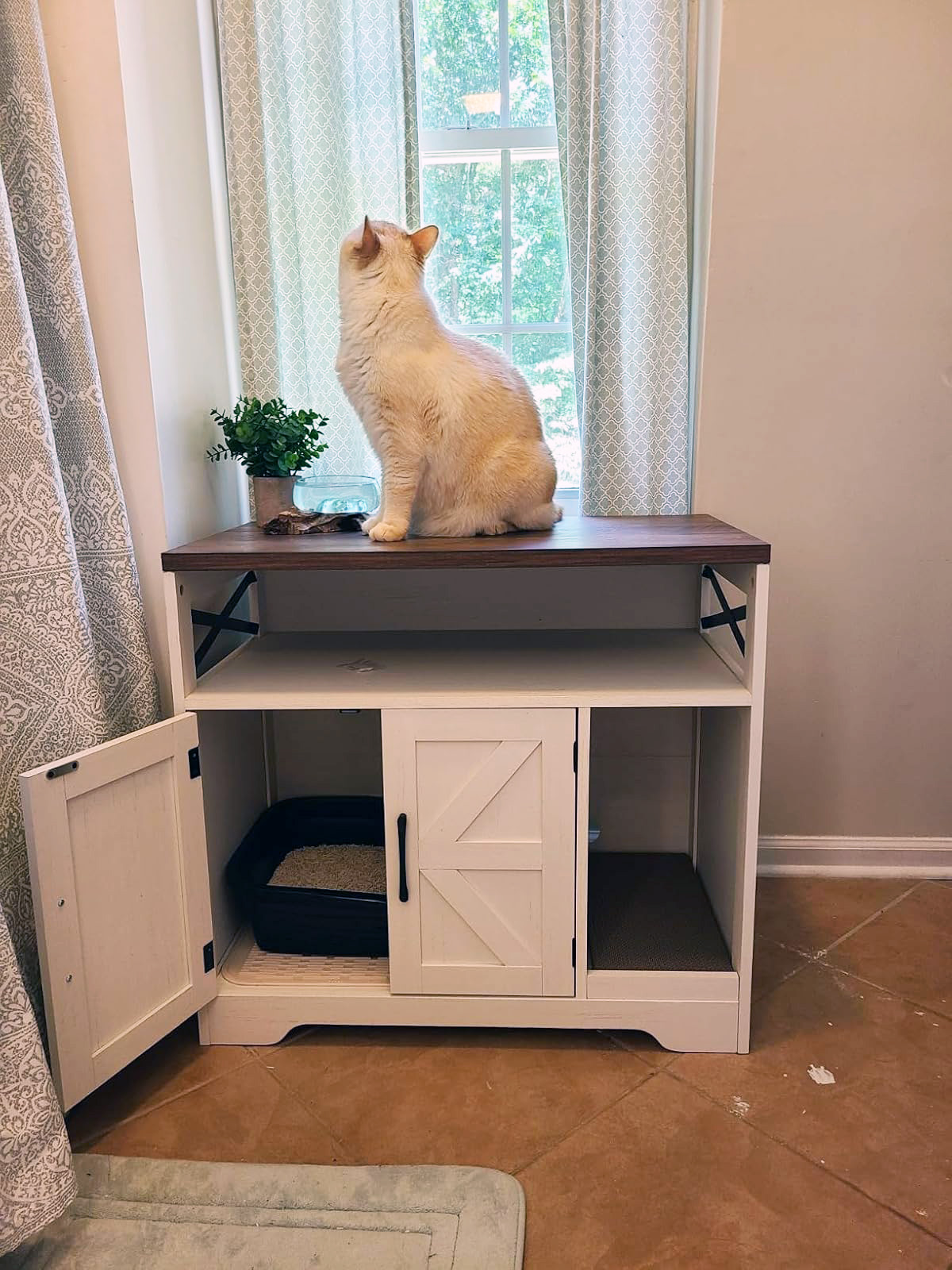 Cat sits connected  a achromatic  retention  furniture  looking retired  the window.