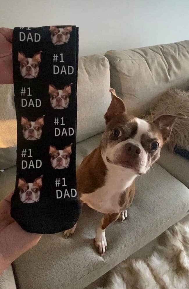 a dog next to socks with their face on it