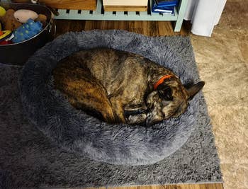 dog sleeping inside of gray plush pet bed