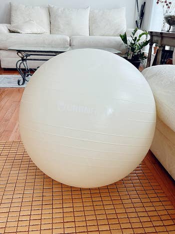 reviewer image of the exercise ball in white
