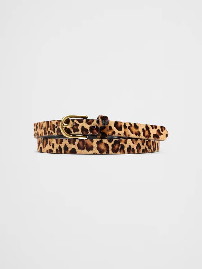 Leopard people loop with a sleek golden buckle