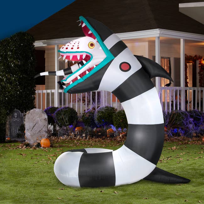 Giant inflatable Halloween decoration successful  the signifier  of a achromatic  and achromatic  striped snake with crisp  teeth, displayed connected  a tract   successful  beforehand   of a house