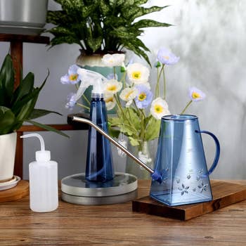Watering can and mist sprayer amid indoor plants on a table, suggesting items for plant care