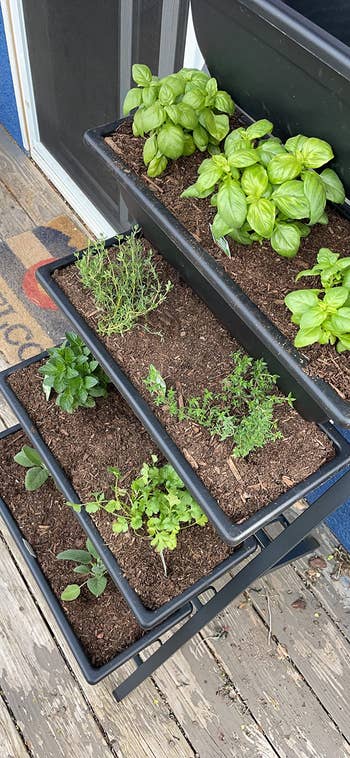 Four-tiered planter with various herbs including basil, thyme, parsley, and mint on a weathered deck