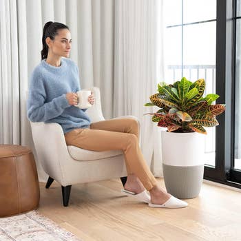 model sitting in a chair next to the air purifier planter