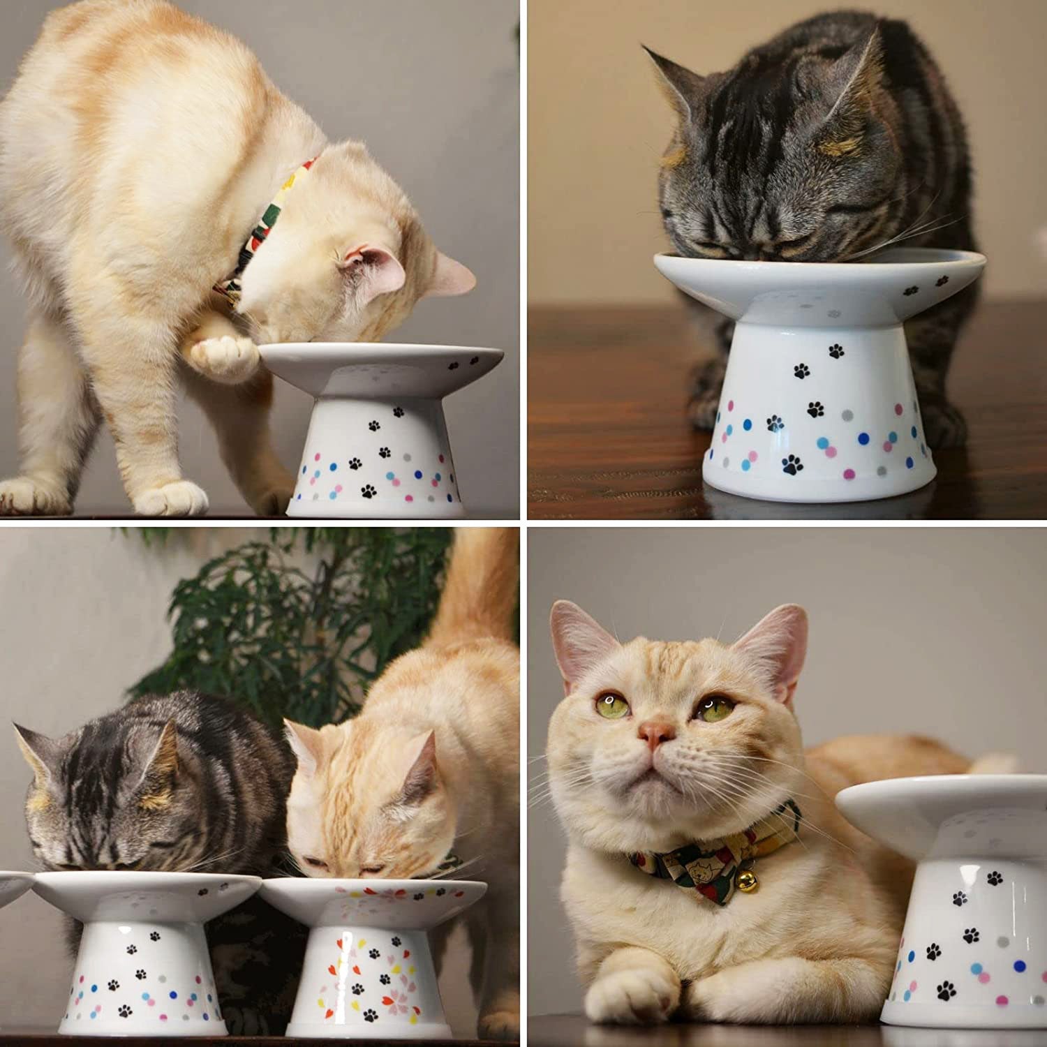 the tall and wide food bowls with cats eating out of them