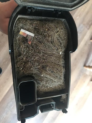 The reviewer showing the dirt and debris collected by vacuum