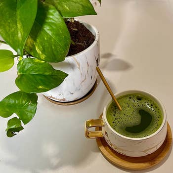 A matcha latte with a gold spoon next to a potted plant on a table, suggesting a stylish home beverage option