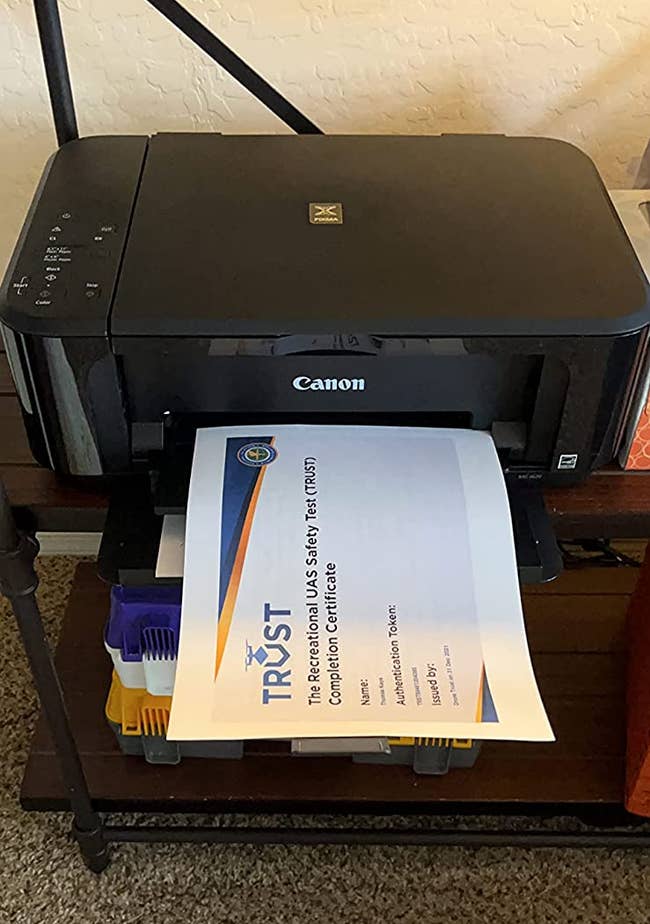 Reviewer's printer below their desk, with a printout just printed