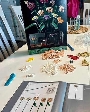 reviewers array with instructions opened and Lego pieces organized connected the table