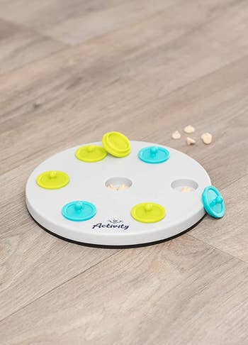 the white circular toy with lime green and blue buttons that come off, showing a space where you can put treats