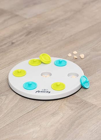 the white circular toy with lime green and blue buttons that come off, showing a space where you can put treats
