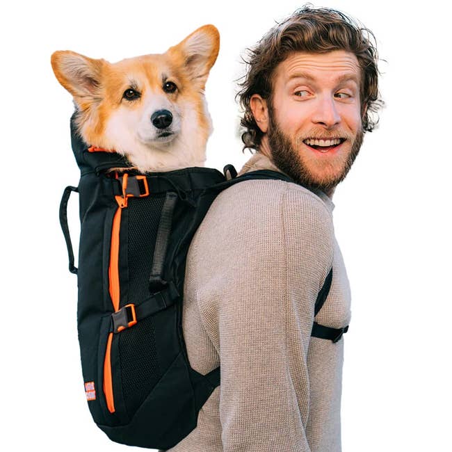 Man happily carrying a fluffy dog in a backpack designed for pets