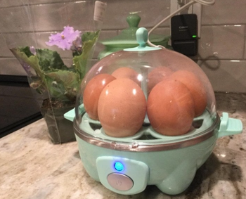 a reviewer cooking eggs in the cooker in light blue