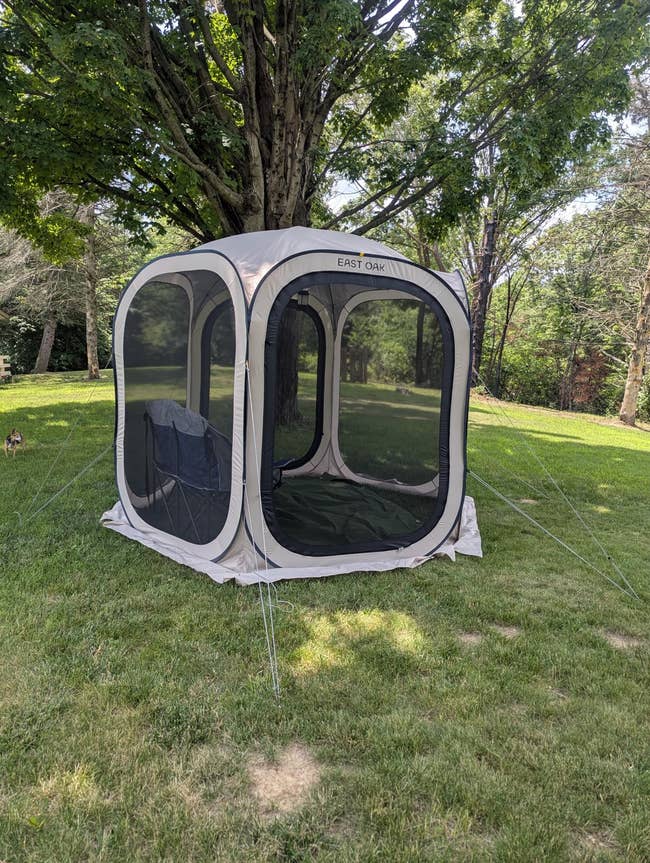 Screened pop-up structure   acceptable   up   connected  grass, providing a shaded outdoor space. Large mesh windows connection    ventilation and a presumption    of the surrounding garden