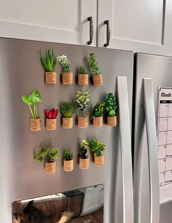 the 14 magnets shaped like succulents stuck to a fridge 