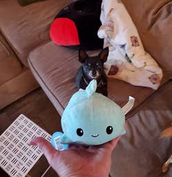 same reviewer's plush flipped to smiling shark