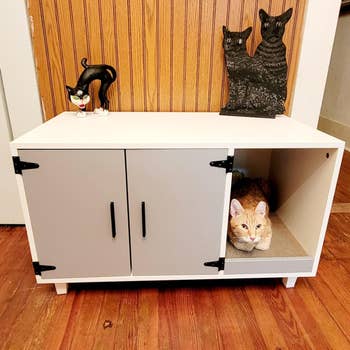 a reviewer photo of enclosure with the doors closed and a cat peaking its head out the open compartment 