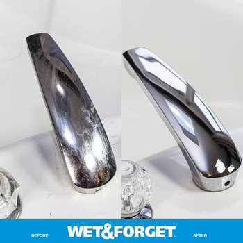a sink faucet door before and after using wet and forget
