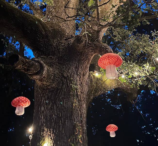 Tree with string lights and mushroom-shaped lanterns hanging from branches, creating a whimsical outdoor setting