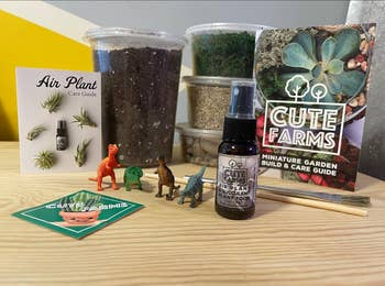 Terrarium building kit with figurines, soil layers, plant food, books on air plant and succulent care