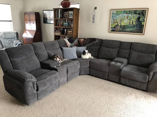 reviewer photo of gray sectional sofa with two small dogs on it