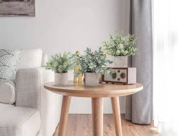 The three green leafy faux plants in gray pots settled on an end table 