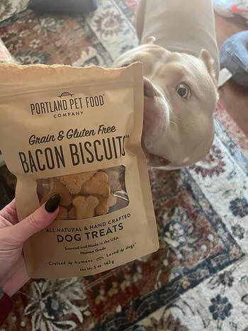 another reviewer photo of a dog sniffing the bag of treats