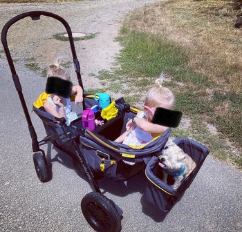 Reviewer's photo showing two kids sitting in the wagon