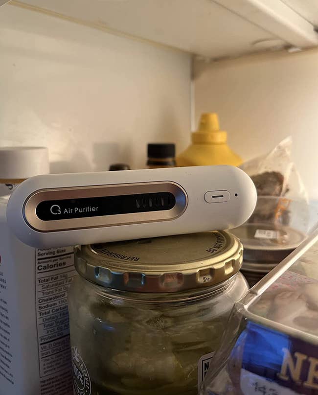 The white thin oval-shaped air purifier in a reviewer's fridge 