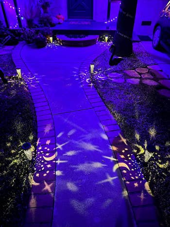reviewer's garden lights installed outside along a path