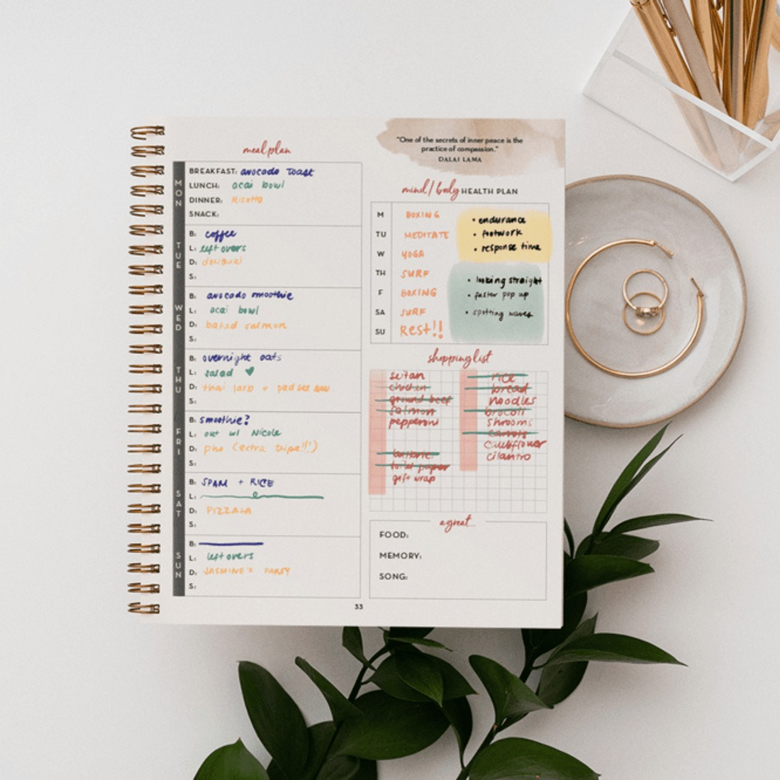 Close-up of an open spiral planner with handwritten daily schedules, meal plans, and health goals