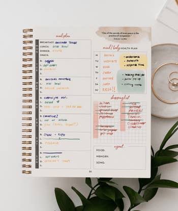 Close-up of an open spiral planner with handwritten daily schedules, meal plans, and health goals