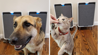 split image of two reviewer photos, one with their dog sitting in front of two air purifiers and the other with their cat eating a treat in front of the air purifiers 