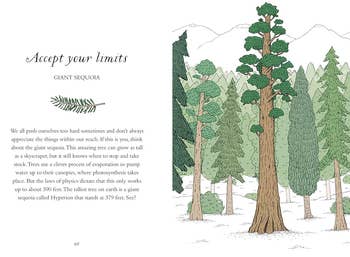a spread from inside. the book featuring a tree illustration 