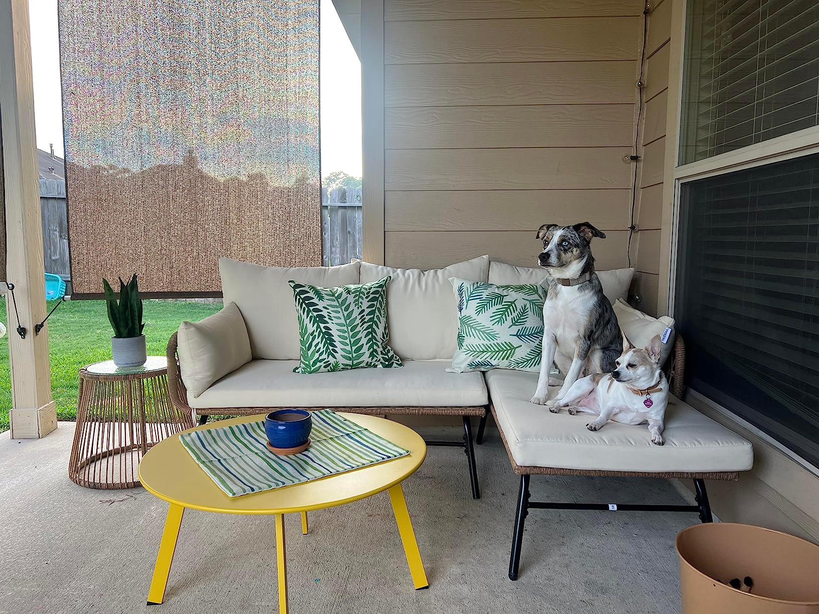 reviewer's yellow coffee table next to patio furniture with two of their dogs on it