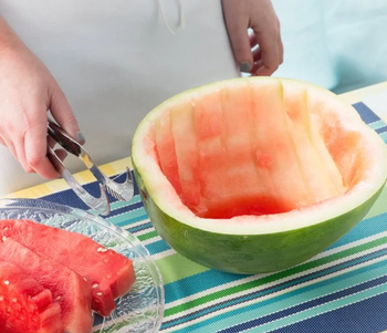 the watermelon now empty