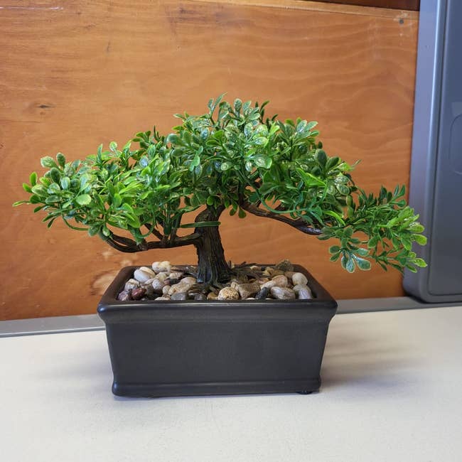 Reviewer image of fake bonsai tree inside rectangular black pot with stones on a white counter and orange wall